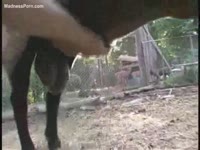 Slut jacking off a horse cock